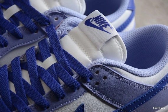 (GS) Dunk Blueberry Low Nike DZ4456-100 1123